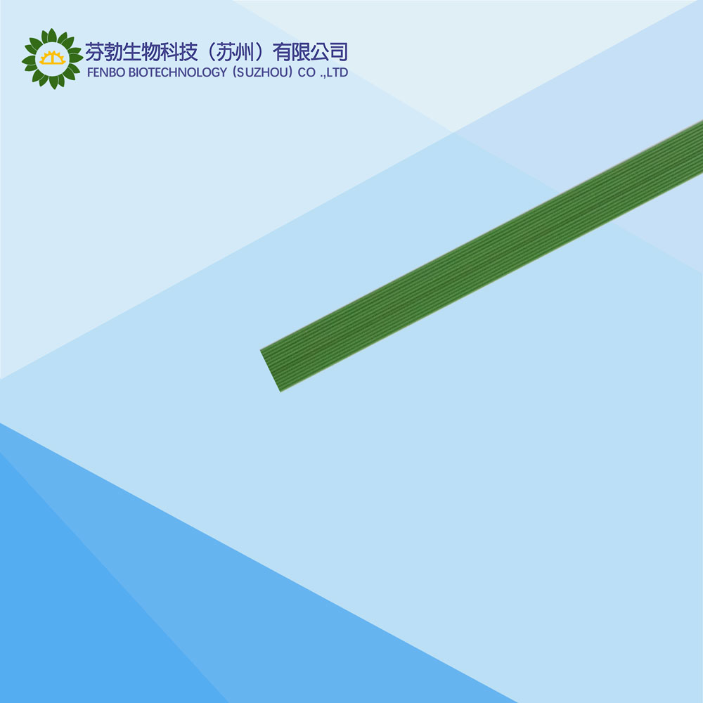 弹簧管